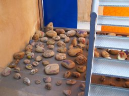 Museo Casa Pintada 2004 